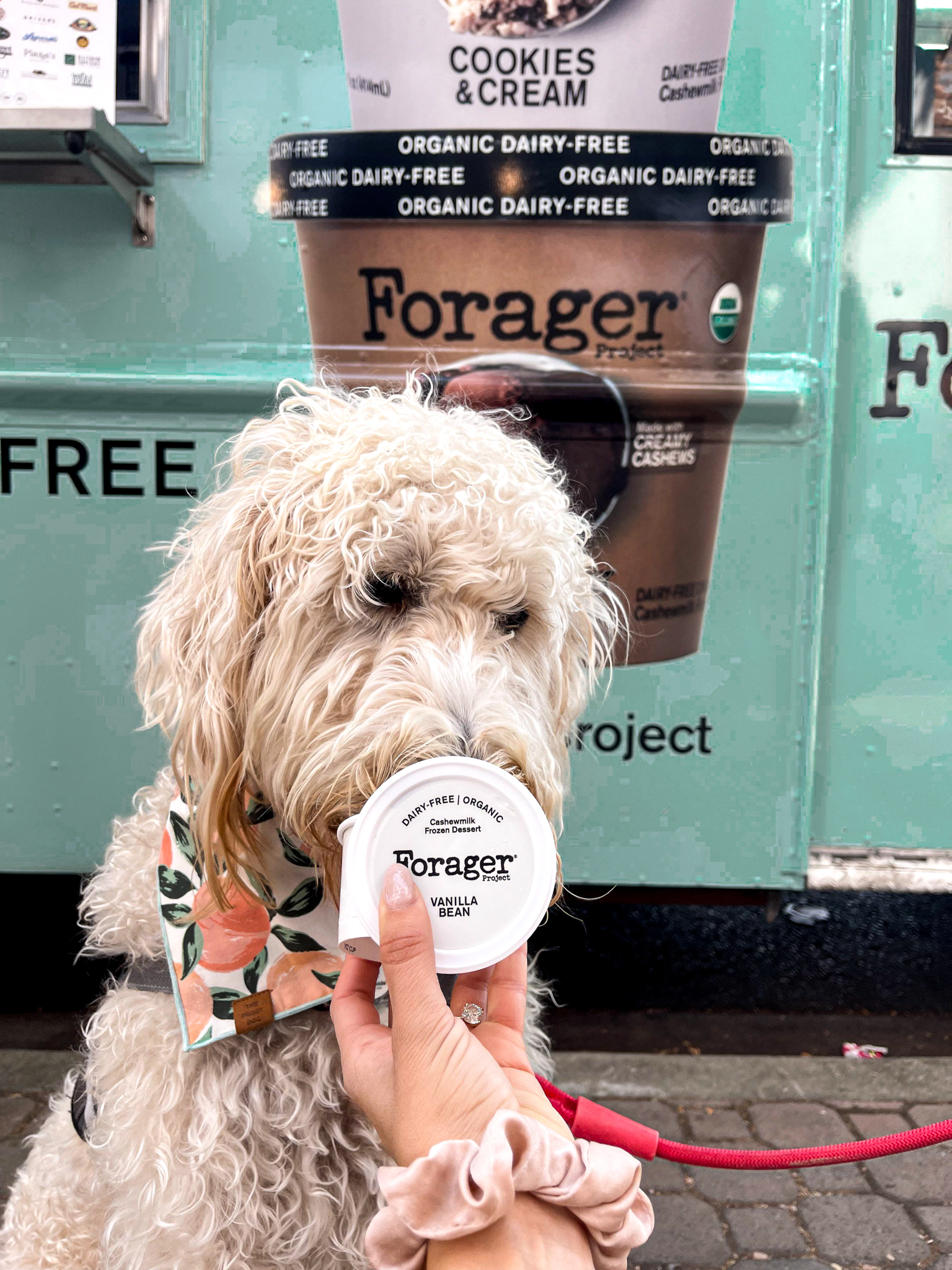 Forager's vegan ice cream sampling action in SF