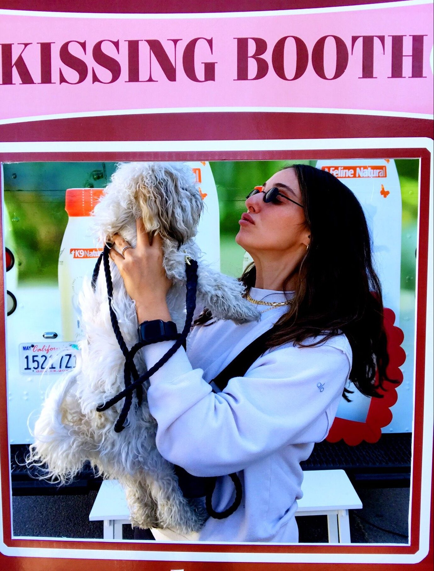 K9 Kissing Booth For Product Launch