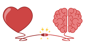 Brain And Heart Connection