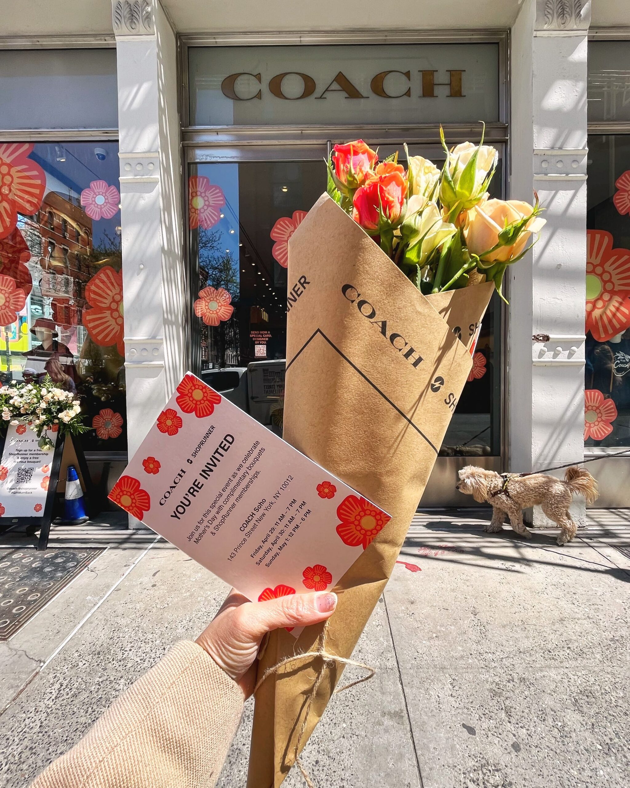 Hand holding roses and invitation for Mother's Day pop up outside Coach store, dog nearby.